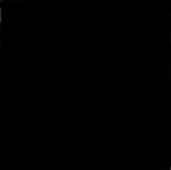 Vigo Black - 9.8x9.8см