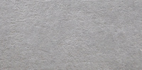 Light Stone Grey 25 x 50 см