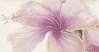 Decor Sensations Blanco Bano 1 32.5*60см