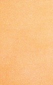 Стенни плочки Alba Orange