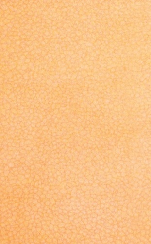 Стенни плочки Alba Orange